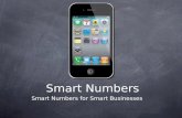 Smart Numbers Smart Numbers for Smart Businesses.