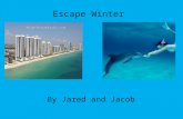 Escape Winter By Jared and Jacob. Location Tunnrberry Isle located in Miami, Florida Downtown Miami Just off HWY A1A Near the shore line Close to many.