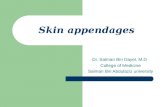 Skin appendages Dr. Salman Bin Dayel, M.D College of Medicine Salman Bin Abdulaziz university.