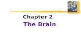 Chapter 2 The Brain.  Lesion  tissue destruction  a brain lesion is a naturally or experimentally caused destruction of brain tissue.