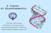 A Career in Bioinformatics Sarah Butcher Oxford University Bioinformatics Centre .