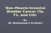 Non – Muscle-Invasive Bladder Cancer (Ta, T1, and CIS) By Dr. Mohammed S Al-Shehri.