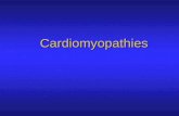 Cardiomyopathies. Introduction Define Cardiomyopathy Define Cardiomyopathy Primary Cardiomyopathies Primary Cardiomyopathies Hypertrophic Cardiomyopathy