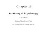 Chapter 13 Anatomy & Physiology Fifth Edition Seeley/Stephens/Tate (c) The McGraw-Hill Companies, Inc.
