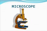 MICROSCOPE. Human naked eyes cannot observe objects with size smaller than 0.1 mm.