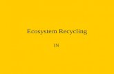 Ecosystem Recycling IN. ENERGY FLOWS THROUGH ECOSYSTEM WATER—NITROGEN—CARBON—PHOSPHORUS ARE RECYCLED!!! THEY MOVE THRU A BIOGEOCHEMICAL CYCLE: ABIOTIC.