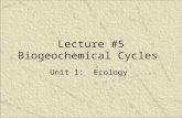 Lecture #5 Biogeochemical Cycles Unit 1: Ecology.
