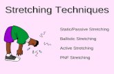 Stretching Techniques Static/Passive Stretching Ballistic Stretching Active Stretching PNF Stretching