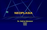 NEOPLASIA Dr. Salma Mansoor Lecturer, DCOP, DUHS.