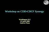 Workshop on CDD-CDCF Synergy Washington D.C. 19 April 2006 Andrea Pinna.