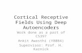 Cortical Receptive Fields Using Deep Autoencoders Work done as a part of CS397 Ankit Awasthi (Y8084) Supervisor: Prof. H. Karnick.