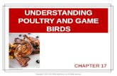 Copyright © 2014 John Wiley and Sons, Inc. All rights reserved. C HAPTER 17 UNDERSTANDING POULTRY AND GAME BIRDS.