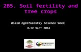 8-12 Sept 2014 2B5. Soil fertility and tree crops World Agroforestry Science Week.