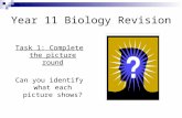 Year 11 Biology Revision Task 1: Complete the picture round Can you identify what each picture shows?