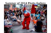 Summer of 2014 Photo Gallery. 100 Years WWI.