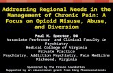 Addressing Regional Needs in the Management of Chronic Pain: A Focus on Opioid Misuse, Abuse, and Diversion Sponsored by The France Foundation Supported.