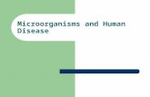 Microorganisms and Human Disease. Microbiology - Virology Microbiology refers to the study of life and organisms that are too small to be seen with the.