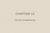 CHAPTER 13 Genetic Engineering. 13-1 Changing the Living World Selective Breeding Choosing the “best” traits for breeding Most domestic animals are products.