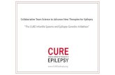 Collaborative Team Science to Advance New Therapies for Epilepsy “The CURE Infantile Spasms and Epilepsy Genetics Initiatives” .
