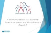 Community Needs Assessment: Substance Abuse and Mental Health Circuit 2.