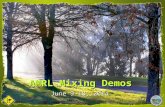 AMRL Mixing Demos June 9-18, 2014. The Plan Explain Two AMRL Programs Perform Mixing Demos One Residency in each of 8 Division’s Potential OHD L-14 Changes.