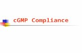 CGMP Compliance. Pharmaceutical Market ( ’ 98) Market size $300 billion Gross margins 80-95% Annual growth 10-12%