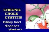 CHRONIC CHRONIC CHOLE- CYSTITIS Biliary tract diseases Lykhatska G.V.