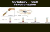 Cytology â€“ Cell Fractionation. Cytology -- Microscopy