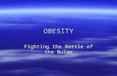 OBESITY Fighting the Battle of the Bulge. Overview  Energy  Definition of obesity  Etiology/pathogenesis  Obesity/health hazards  Evaluation of the.