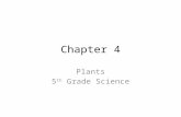 Chapter 4 Plants 5 th Grade Science. Plants Plants make their own _____. This process is called ___________ and takes place in their __________. Leaves.