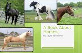 A Book About Horses By Layla Bellissimo. Dedications  This book is dedicated to my best friends Avery, Shea, Kate, and Lily. They all love horses like.