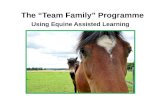 The “Team Family” Programme Using Equine Assisted Learning.