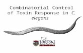 Combinatorial Control of Toxin Response in C. elegans Tim Lindblom.