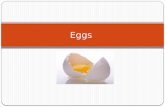 Eggs. Let’s look inside an egg .