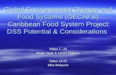 Global Environmental Change and Food Systems (GECAFS) Caribbean Food System Project: DSS Potential & Considerations Slides 1 –19 Ranjit Singh & Adrian.