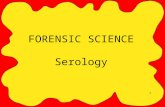 1 FORENSIC SCIENCE Serology. 2 What is Serology? Serology is the study of serums such as blood, saliva, semen and sweat. A forensic serologist applies.