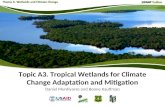 Topic A3. Tropical Wetlands for Climate Change Adaptation and Mitigation Daniel Murdiyarso and Boone Kauffman.