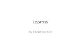 Leprosy By Christine Kim. Leprosy is a chronic, infectious disease that damages the skin, peripheral nerves, and mucous membranes of the mouth, throat,
