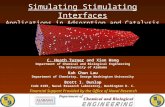 Simulating Stimulating Interfaces Applications in Adsorption and Catalysis C. Heath Turner and Xian Wang Department of Chemical and Biological Engineering.