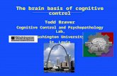 The brain basis of cognitive control Todd Braver Cognitive Control and Psychopathology Lab, Washington University St. Louis.