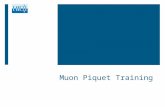 Muon Piquet Training. Intro - Disclaimer  This presentation is not intended to be a complete description of the system but a guide, possibly simple,