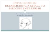 INFLUENCES IN ESTABLISHING A SMALL TO MEDIUM ENTERPRISE How entrepreneurial are you? Do you have what it takes?
