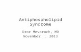 Antiphospholipid Syndrome Dror Mevorach, MD November, 2013.