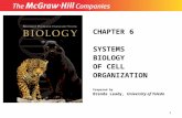 1 CHAPTER 6 SYSTEMS BIOLOGY OF CELL ORGANIZATION Prepared by Brenda Leady, University of Toledo.