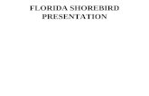 FLORIDA SHOREBIRD PRESENTATION. 2/23/2009 Janell Brush - Florida Fish and Wildlife Conservation Commission.