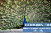 What changes populations? (Ch. 23) Evolutionary Forces.