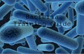 Bacteria Training Guide. What is a bacteria? Bacteria are tiny, living organisms that get nutrients (food) from their environments, just like any other.