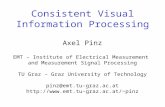 Consistent Visual Information Processing Axel Pinz EMT – Institute of Electrical Measurement and Measurement Signal Processing TU Graz – Graz University.