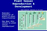 Plant Sexual Reproduction & Development Plant Evolution: Appearance of the major plant groups Reminder: Evolution of plants & plant classification How.