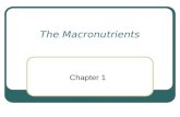 The Macronutrients Chapter 1. Macronutrients Carbohydrates Lipids Proteins Provide energy Maintain structure.